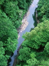 1．“溪”——山间静水的内涵与象征