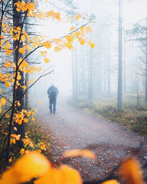 摩羯男婚后与白羊女生活幸福，摩羯男最易娶的星座是哪个？
