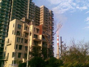 风水玄学大揭秘！2026年买房必看避坑指南