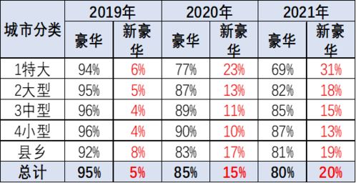 有哪些队名既青春洋气又充满活力和朝气？