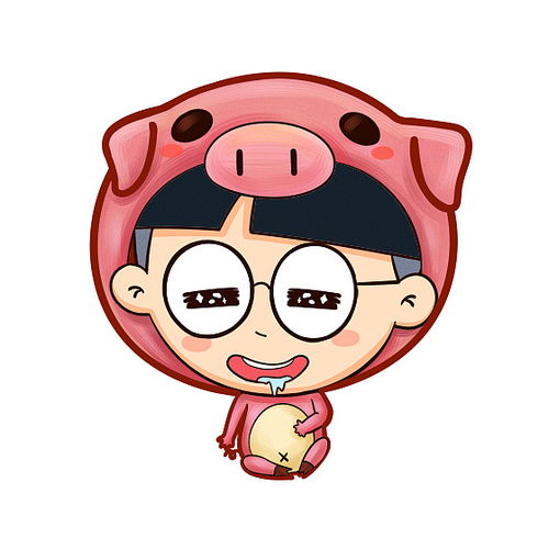 一、 属猪人五行偏缺及对应方位的理论依据