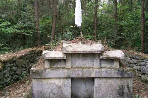 一、 汀州王氏墓案例及其对穴位选择的关键启示