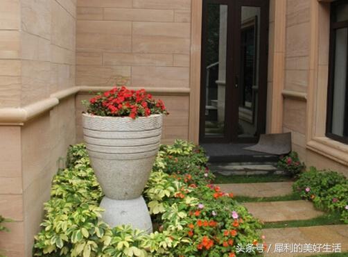 朝北阳台：弥补光照不足