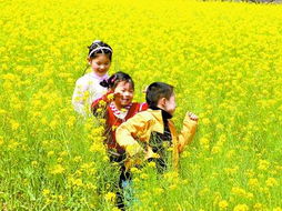 丰乐农庄·丰乐葵园/马拉湾的回忆杀