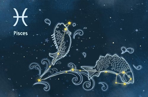 哪些星座男对待感情不认真，到处沾花惹草，蕞花心？