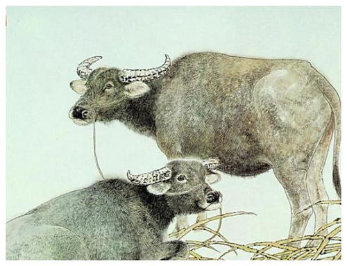 喜上眉梢对应什么生肖？老牛骑马倒着走又是哪位生肖？