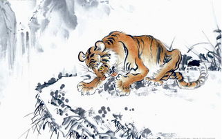 二、 混搭大法——把木火土全扔进去，你敢吗？⚡️⚡️⚡️