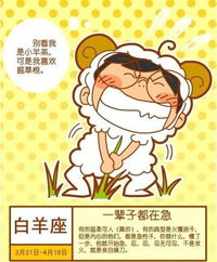 财运提升吉祥物——“招财树”
