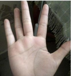 美女和老人谈手相，可以给妹子看手相图片吗？