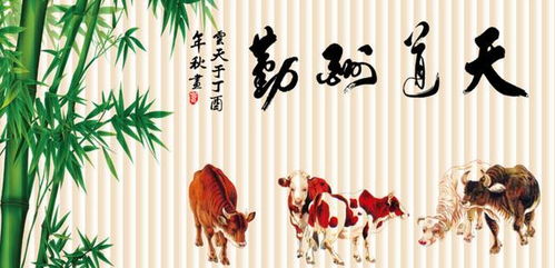 属于吉利 朝 向—— 朝东 、  朝南 、 朝北；大凶 朝 向—— 朝西。