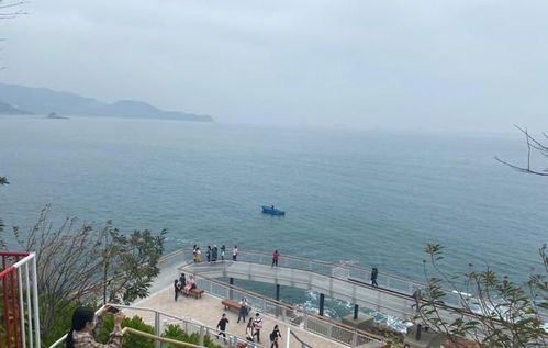 海滩：人类行为艺术的集中展示