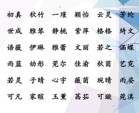 名字背后的深意