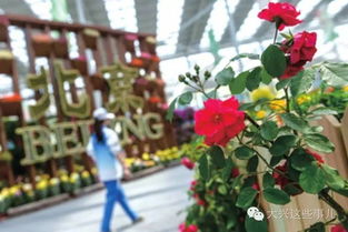 联票居然还能算命？？？