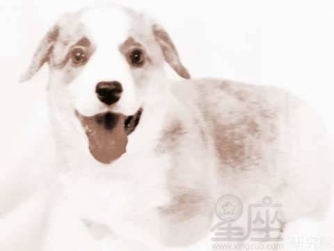 1. 与朋友发生分歧受孤立