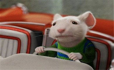 鼠年百财的生肖是哪个？2026年属鼠与哪个生肖相旺有何含义？