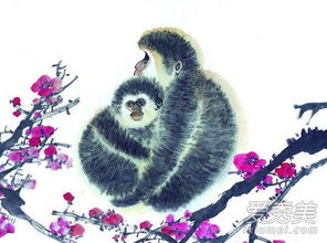 生肖猴最爱的女人属相是哪个？十二生肖女猴的婚姻匹配