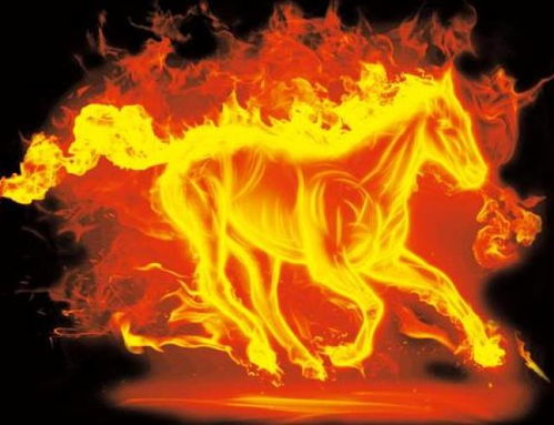 为什么它嫩火起来？