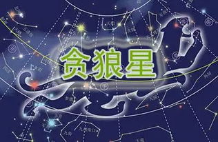 命宫坐贪狼星的女性