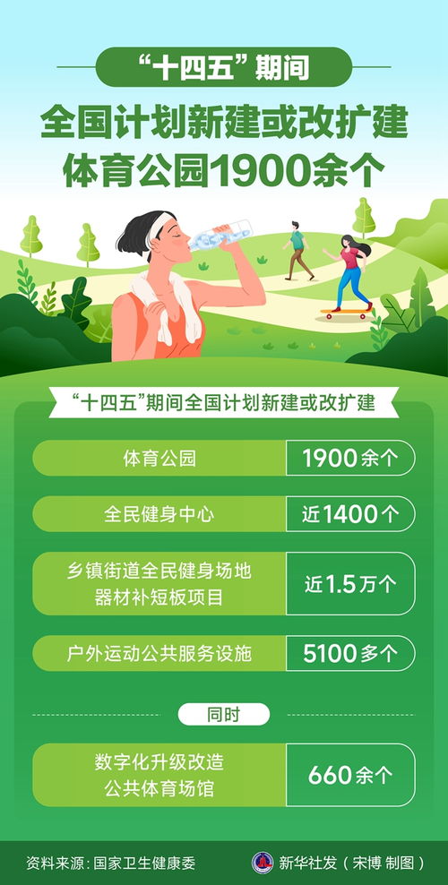 社会效应与可持续发展的多元考量