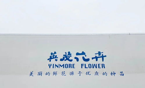 第一类：寓意温馨和谐、 福缘深厚的品牌