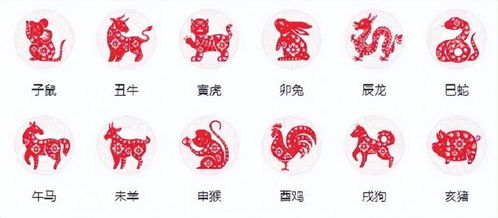 各自为政的生肖是哪一个？