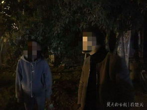 恐怖现实：黑暗中的窥视