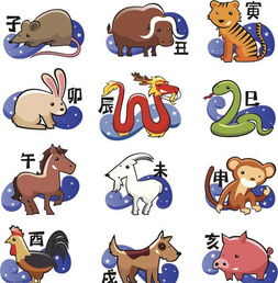 1978年属马的人今年的运势具体如何？