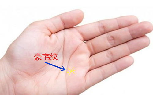 三、 明星案例的符号化解读与社会意涵