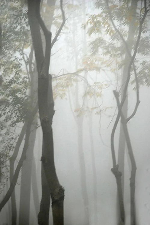 三、“岁月静好”背后的隐忧及反思