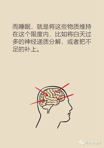梦是疾病的早期信号？这说法靠谱吗？