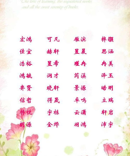 边姓宝宝起名指南：穿越时空的诗意命名