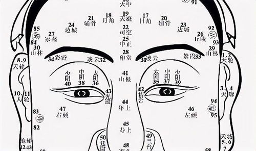 NTR在面向对象中重载的应用在面相学中具体有何体现？