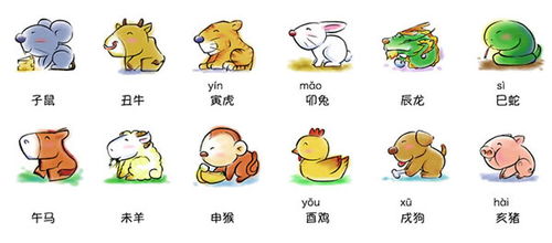 十二生肖婚姻配对大全中，属猪的婚姻配对有哪些特点？