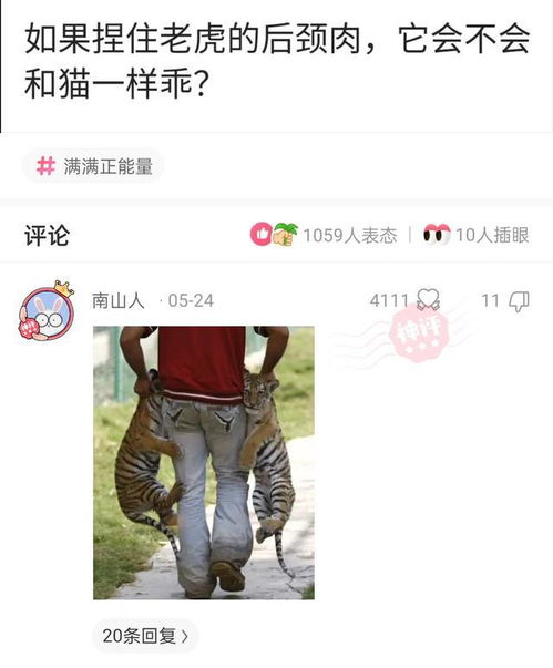 历经沧桑后的归宿感