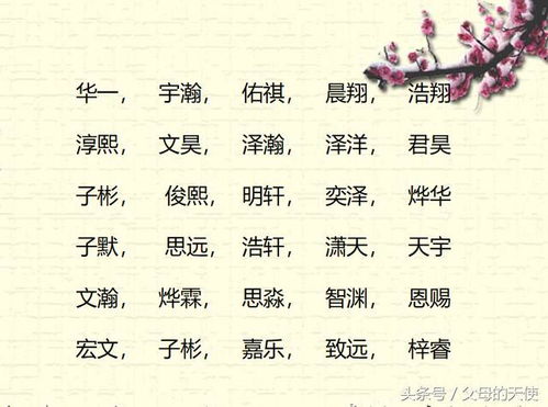 豕韦家族中， 有没有一个寓意吉祥、文雅的名字，能让人过目难忘呢？