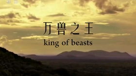 一、 探究背景与议题阐释