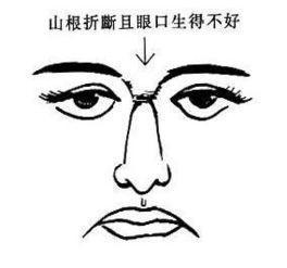 二、  五官之首：眼眉之气宇轩昂