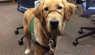 3. 酒店入住风波：前台阿姨的鄙夷眼神