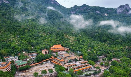 【玄学入口大公开】2026年丙午马年黄历宜忌