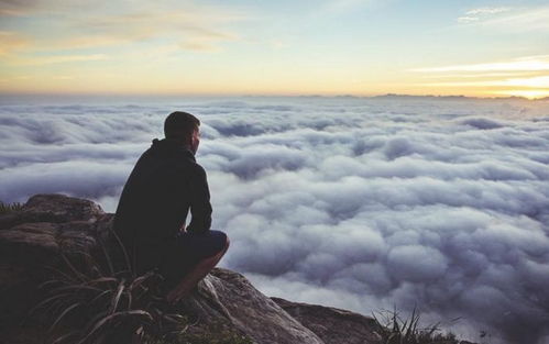 静心禅意网名：喧嚣尘世中的精神锚点