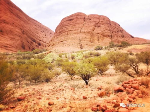 非物质遗产保护：学术考察的重要性