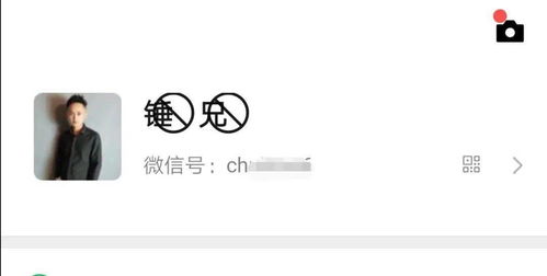 一、 微信昵称流行趋势：生肖与星座网名的崛起