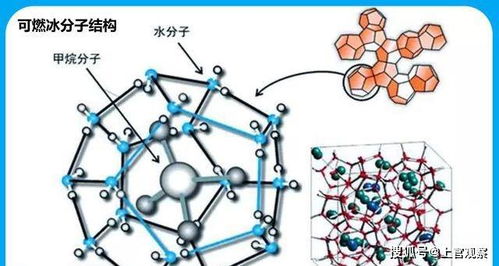 三、 周边环境因素对氢键平稳性的调控机制