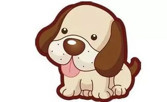 2026年属狗男性事业运势如何？属狗男性最强招财物件是什么？