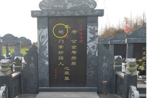 3.1 墓地选择理论沉重崭新评估