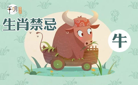 那一些被遗忘的岁月：1949年属牛人在2025年的真实实年龄