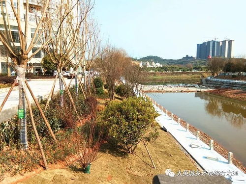 三、 设计与建设要点——融合风水与现代建筑技术