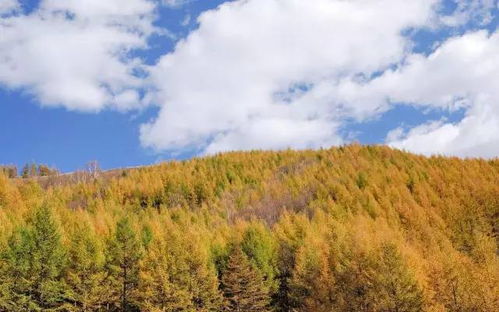 3. 梅州蕉岭长潭旅游区：湖光山色是真不错,就是蚊子多