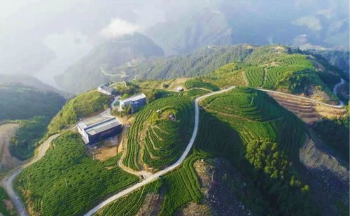 独山净心谷：藏在深闺的人间仙境