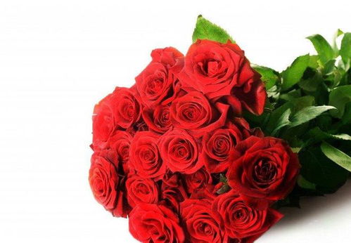 3. 玫瑰花图案——爱情符号的形象化表达